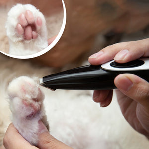 Electric Pet Hair Clipper and Trimmer Pet Grooming Tool