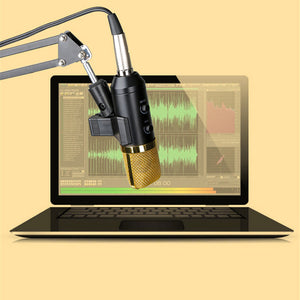 BM-300 USB Wired Condenser Microphone for Computer Studio
