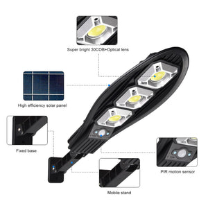 Remote Controlled Human Induction Outdoor Solar Garden Light