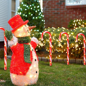 Outdoor Holiday Christmas Pathway Lights