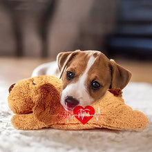 Heartbeat Puppy Toy Anxiety Relief for Dogs-Battery Powered_8