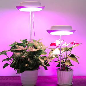 Pack of 2 Full Spectrum LED Growth Light for Indoor Plants_8