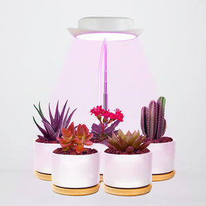 Pack of 2 Full Spectrum LED Growth Light for Indoor Plants_2