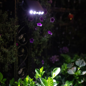 Solar Powered Motion Sensor LED Outdoor Wall Garden Light