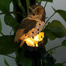 Solar Powered LED Outdoor Garden Owl Outdoor Decoration