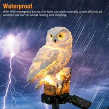 Solar Powered LED Outdoor Garden Owl Outdoor Decoration