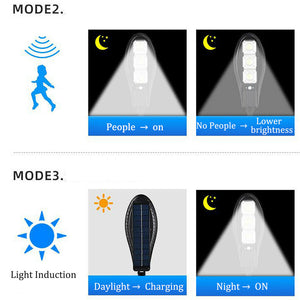 Remote Controlled Human Induction Outdoor Solar Garden Light