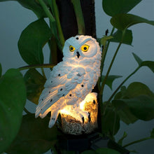 Solar Powered LED Outdoor Garden Owl Outdoor Decoration