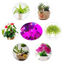 USB Interface LED Full Spectrum Plant Growth Phyto Lamp