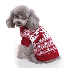 Knitted high collar pet coat