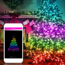 Wifi control smart color light string