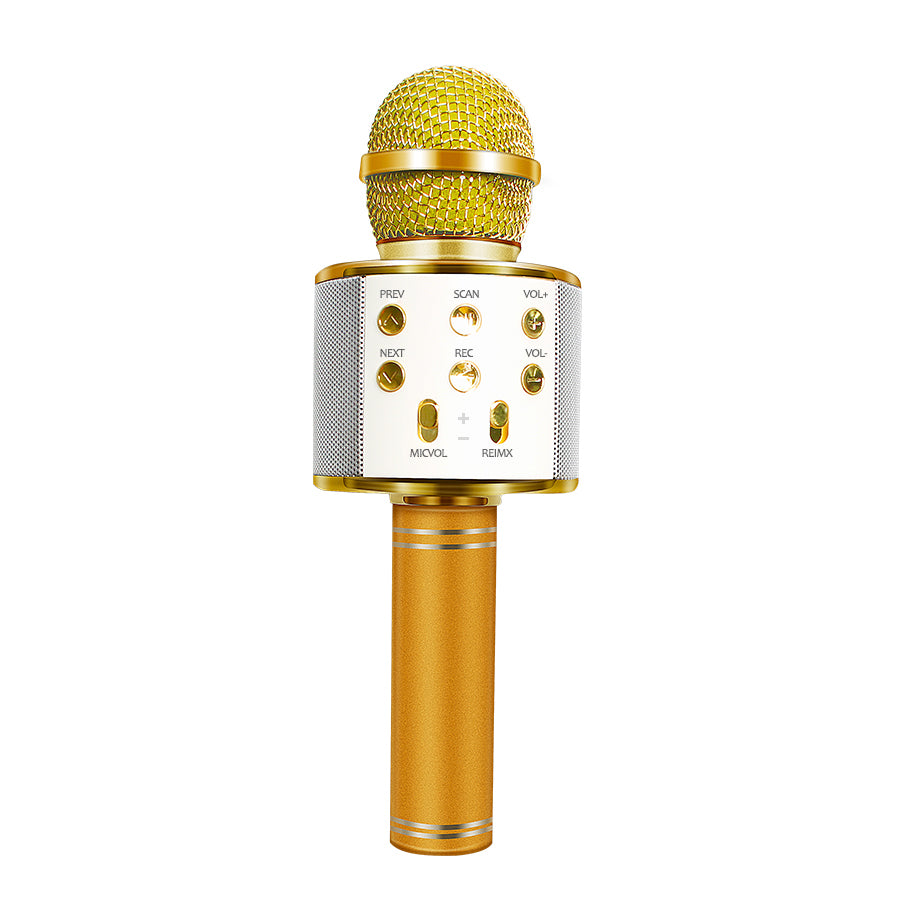 Portable Wireless Karaoke Microphone - Groupy Buy