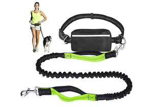 Hands Free Dog Leash for Running Walking Training Hiking